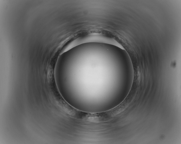 X0000090600228200707241051