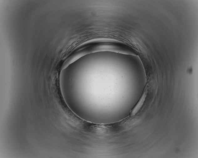 X0000090600229200707241051