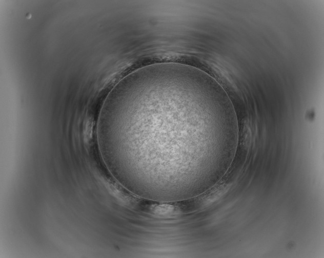 X0000090600230200707241051