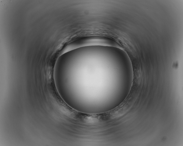 X0000090600232200707241051