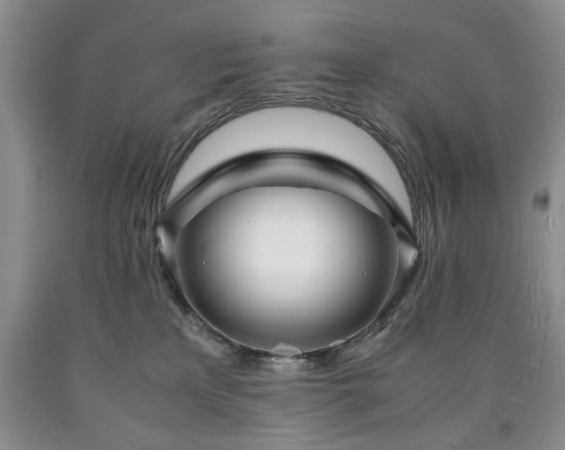 X0000090600233200707241051