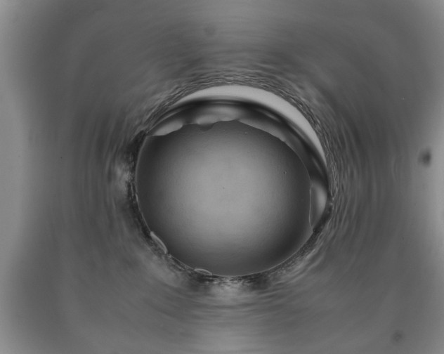 X0000090600235200707241051