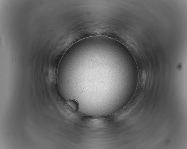 X0000090600236200707241051