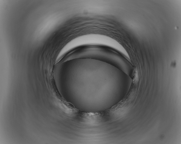 X0000090600239200707241051