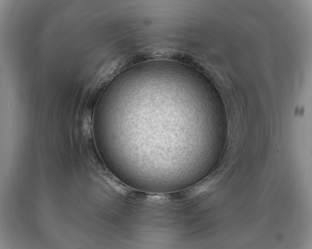 X0000090600240200707241051