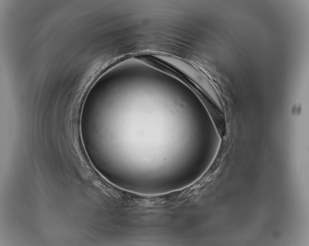 X0000090600241200707241050