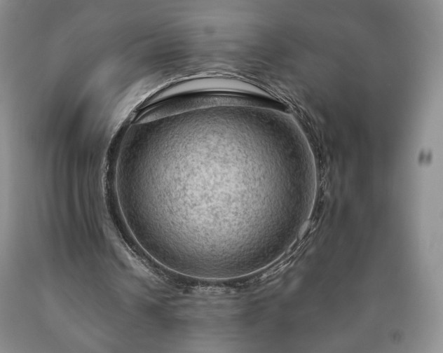 X0000090600242200707241050