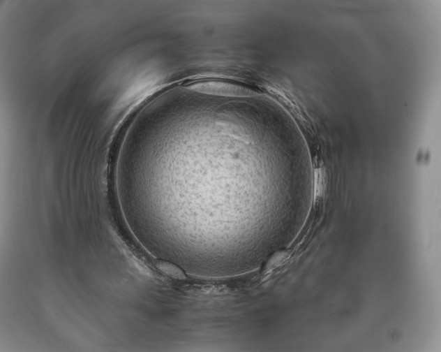 X0000090600243200707241050