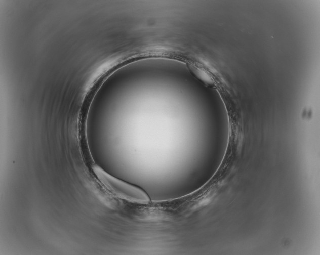 X0000090600244200707241050