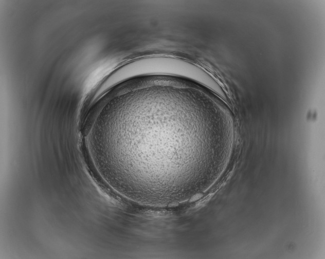 X0000090600245200707241050