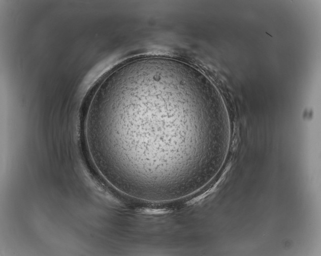 X0000090600247200707241050