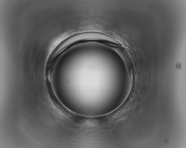 X0000090600248200707241050