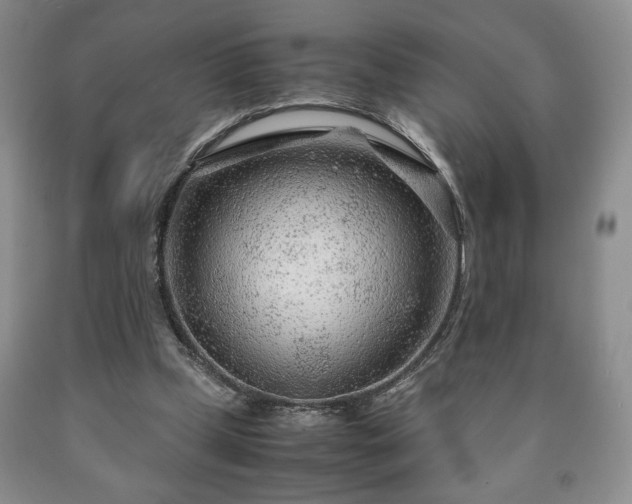 X0000090600249200707241050