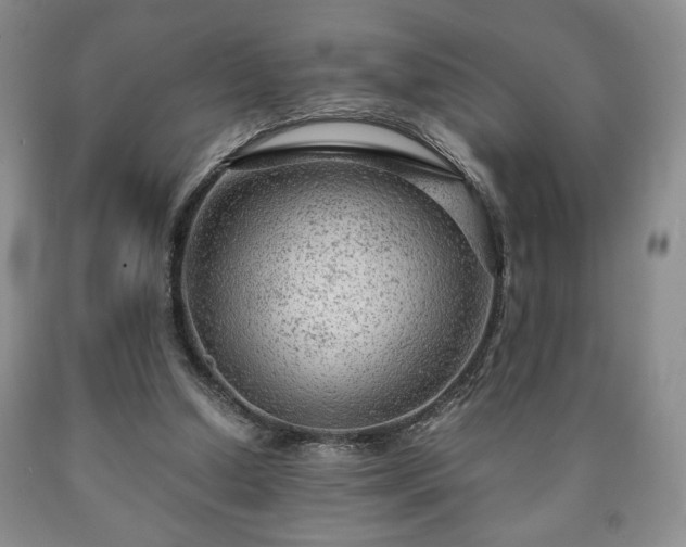 X0000090600250200707241050