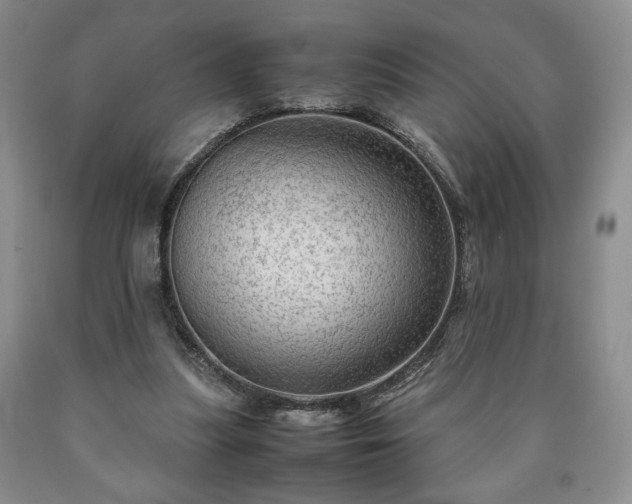 X0000090600251200707241050