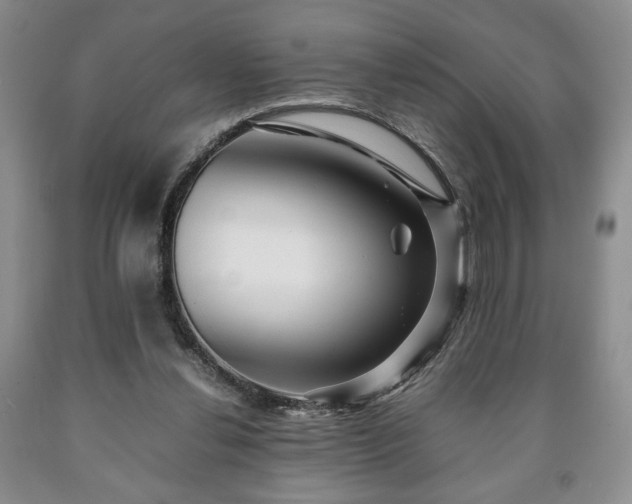 X0000090600252200707241050