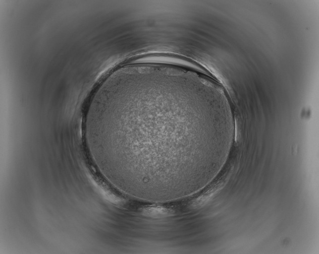 X0000090600253200707241050