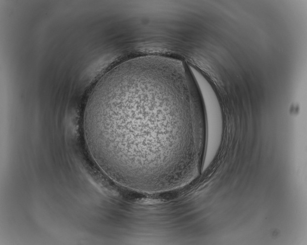 X0000090600255200707241050