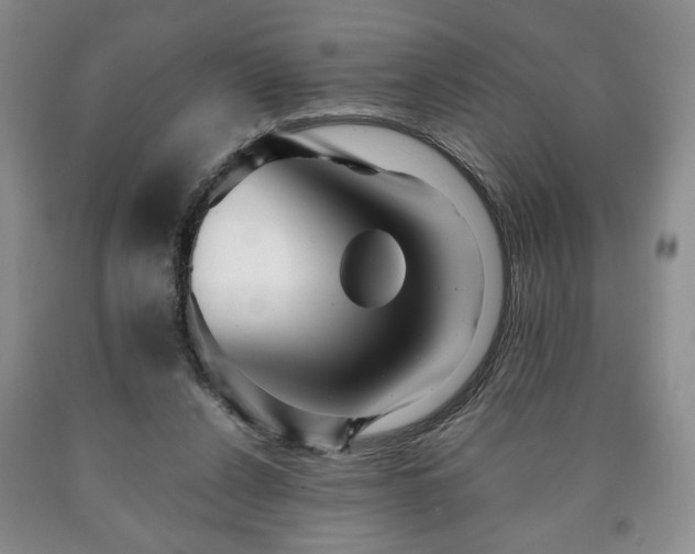 X0000090600256200707241050