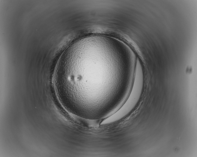 X0000090600257200707241050