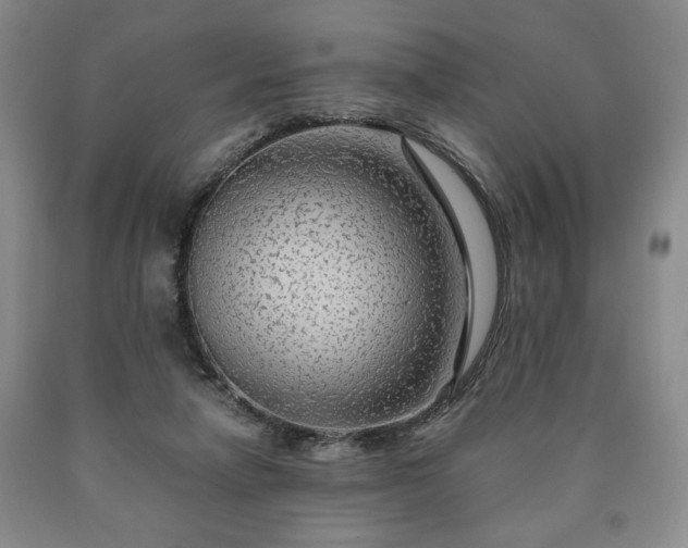 X0000090600258200707241050