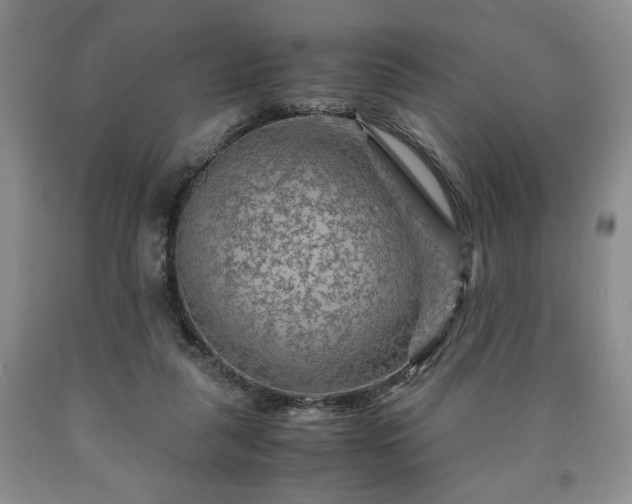 X0000090600259200707241050