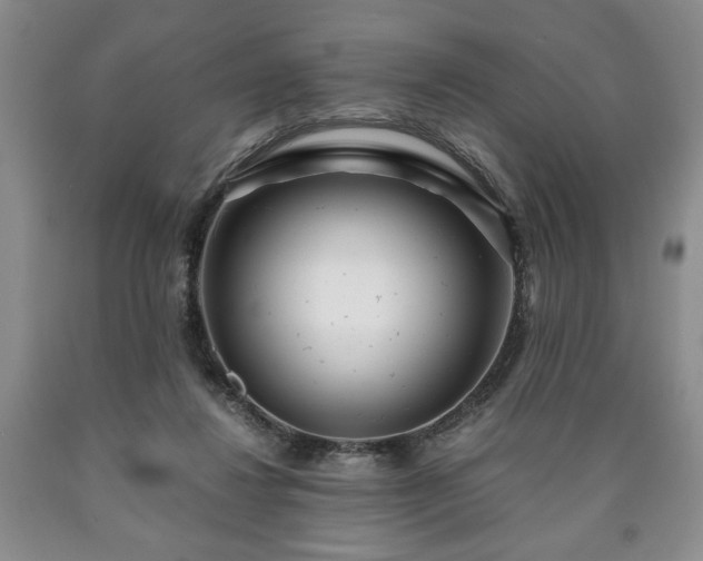 X0000090600260200707241050