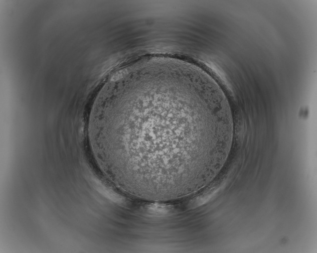 X0000090600261200707241050