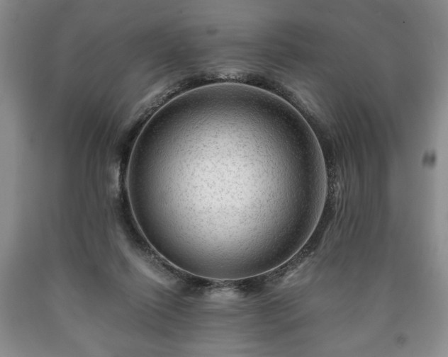 X0000090600262200707241050