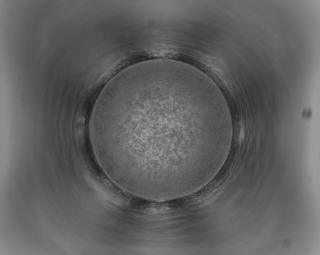 X0000090600263200707241050