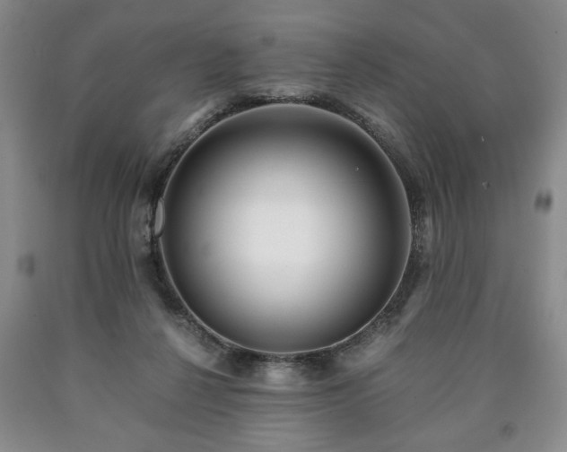 X0000090600264200707241050