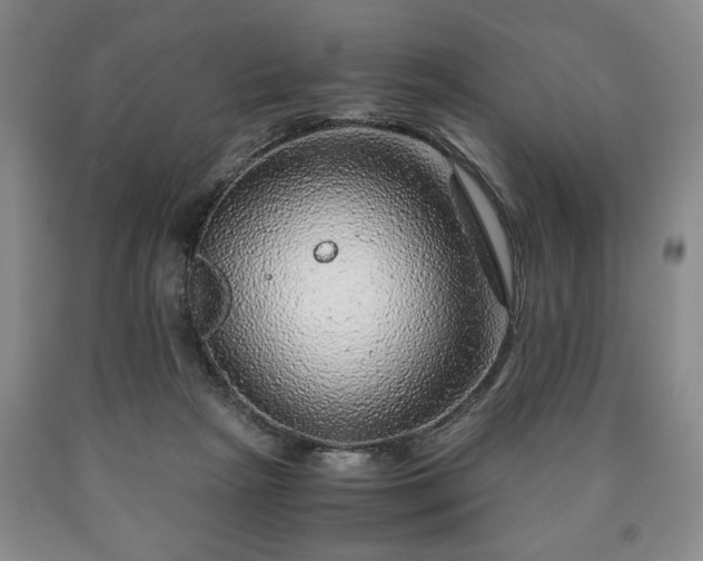 X0000090600265200707241050