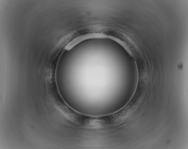 X0000090600268200707241050