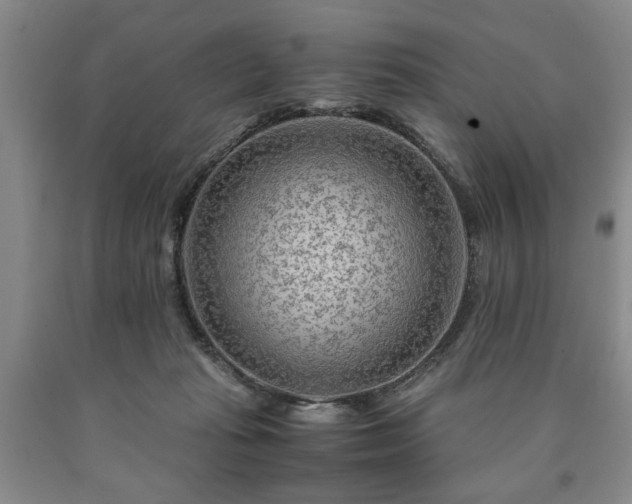 X0000090600269200707241050