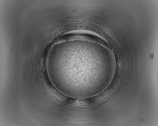 X0000090600270200707241050