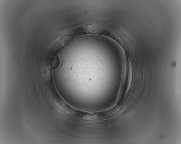 X0000090600271200707241050