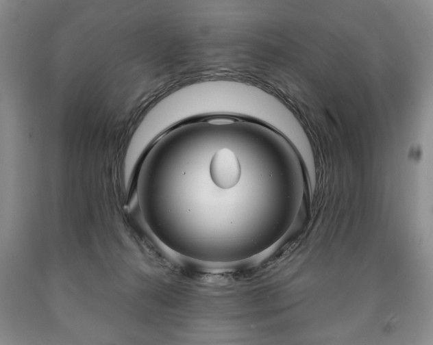 X0000090600272200707241050