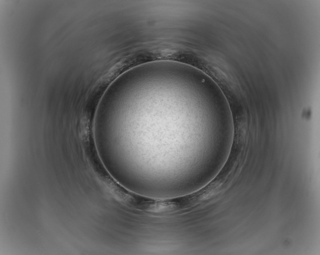 X0000090600274200707241050