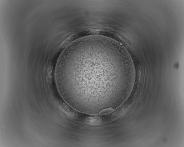 X0000090600275200707241050