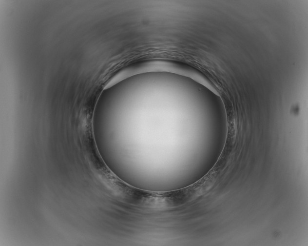 X0000090600276200707241050