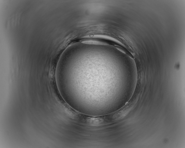 X0000090600277200707241050