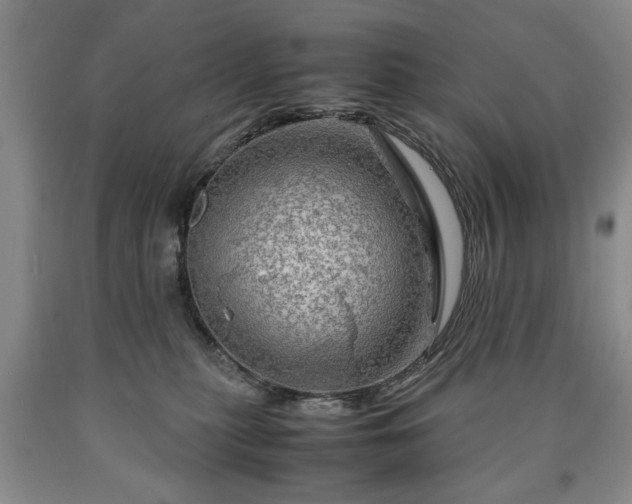 X0000090600279200707241050