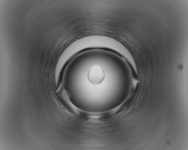 X0000090600280200707241050