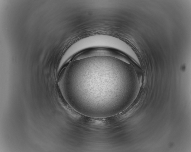 X0000090600285200707241051