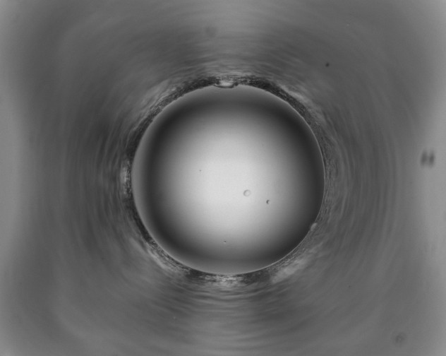 X0000090600288200707241051