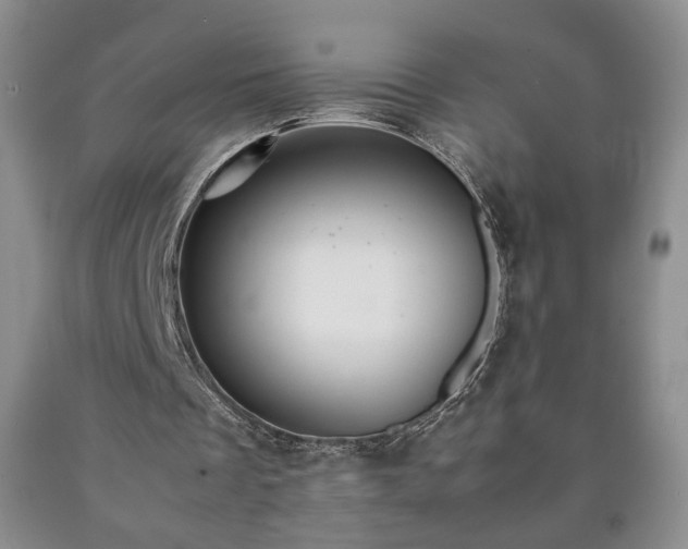 X0000090600289200707241050