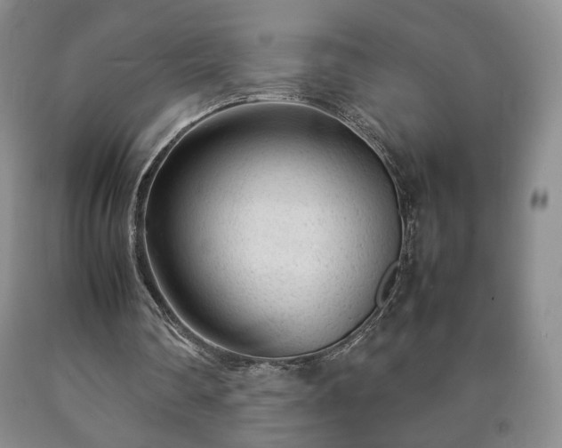 X0000090600290200707241050