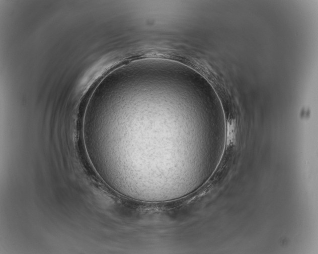 X0000090600291200707241050