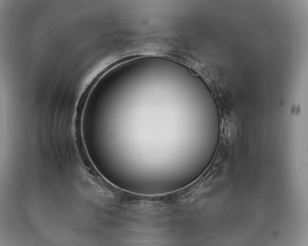 X0000090600292200707241050