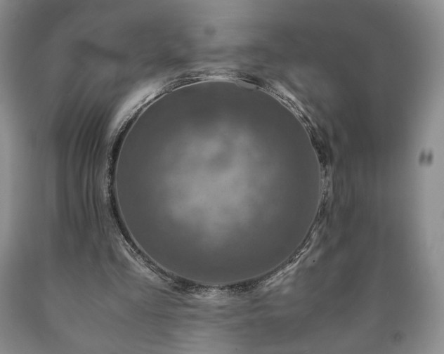 X0000090600293200707241050